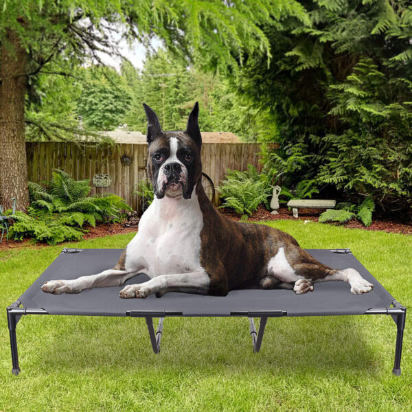 Outdoor Elevated Pet Cot, Easy Cleaning - Image 4