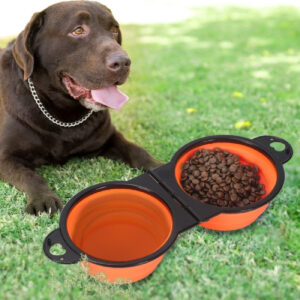 Silicone Folding Dual Pet Bowl