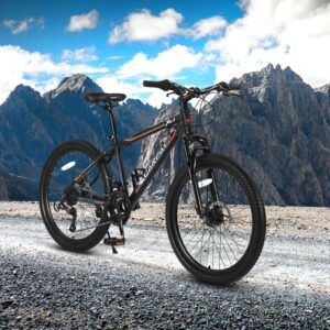24 Inch Mountain Bike, Steel Frame, Shimano 21 Speed With Dual Disc Brakes And Front Suspension